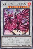 37▢ドゥーム・オブ・ディメンションズ 1カートン KM0806-5 遊戯王OCG DOOM OF DIMENSIONS ドゥーム・オブ