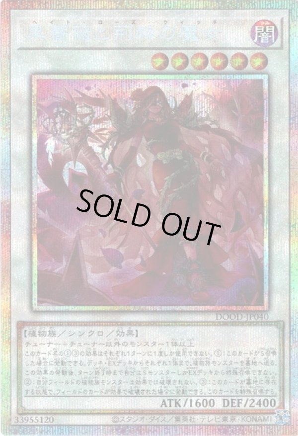 遊戯王　黒薔薇と荊棘の魔女　プリズマシク、シークレット アジア 遊戯】黒薔薇と荊棘の魔女【プリズマティックシークレット/☆6