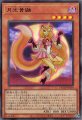 月光黄鼬