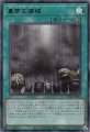真帝王領域