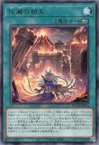 DUELIST ADVANCE デュエリスト・アドバンス - メルカード遊戯王