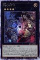 蝕の双仔