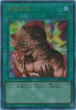 霆王の閃光/レリーフ【罠】《BLZD-JP077》 - メルカード遊戯王