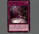 アコード・トーカー＠イグニスター/ホロ【リンク】《ALIN-JP051