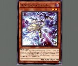 スプライト・エルフ/プリズマティックシークレット【リンク