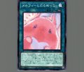 メルフィーとにらめっこ