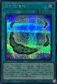 白の循環礁