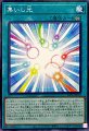 集いし光