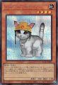レスキューキャット