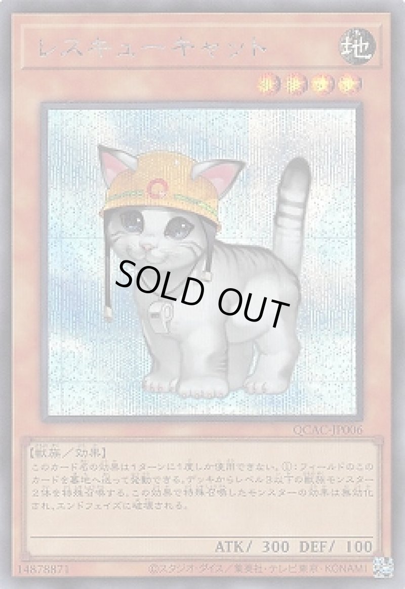 画像1: ☆アジア☆レスキューキャット/シークレット【モンスター】《QCAC-JP006》 (1)