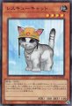 レスキューキャット