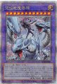 究極竜魔導師