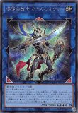 混沌の戦士カオス・ソルジャー/25thシークレット【リンク