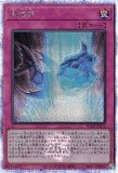 アクアマドール　25th 遊戯王 アクア・マドール【25th シークレットレア】 QUARTER