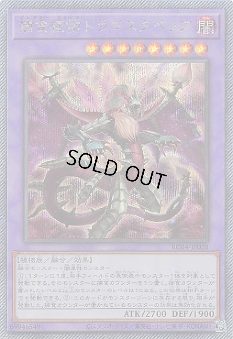 画像1: 捕食植物ドラゴスタペリア/エクストラシークレット【融合】《RC04-JP028》 (1)