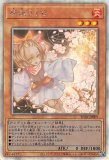 遊戯王 灰流うらら RC04-JP009 ホログラフィックレア 状態B〕灰流うらら【ホログラフィック】{RC04-JP009}《モンスター》