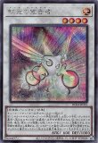 70726f647563742f524330342f5345