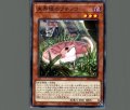 未界域のツチノコ