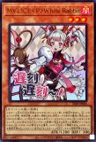 SPECIAL PACK-STAMP EDITION-スペシャルパックスタンプエディション