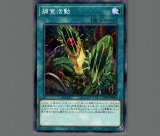 ミレニアム・アイズ・サクリファイス/ノーマルパラレル【融合