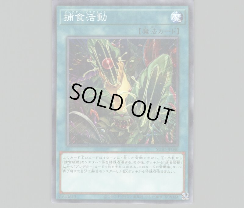 画像1: 捕食活動/ノーマルパラレル【魔法】《SUB1-JP040》 (1)