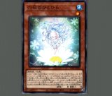 遊戯王 PSA10 完美品 シークレット 闇霊使いダルク シク 鑑定品 DCP1 遊戯】ダーク・オネスト【シークレット(SPECIAL BLUE Ver.)/効果