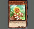 ナチュルサンフラワー