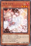 灰流うらら/プリズマティックシークレット【モンスター】《PAC1