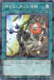 影依融合/スーパー【魔法】《SD37-JPP05》 シャドールフュージョン