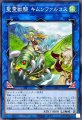 聖霊獣騎キムンファルコス
