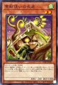 霊獣使いの長老
