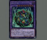 星態龍/ゴールドシークレット【シンクロ】《GP16-JP012》 せい