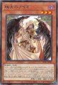 暁光のブイオ