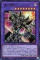 波動の超魔導剣士-ブラック・パラディン