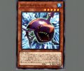ドリーム・シャーク