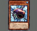 ドリーム・シャーク