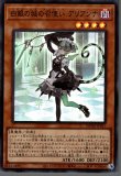 遊戯王　白銀の城の召使い アリアンナ✖︎3 ウェルカム・ラビュリンス✖︎3 Amazon.co.jp: 遊戯王/白銀の城の召使い アリアンナ（スーパー