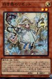 英語版 INFO-EN013 Astellar of the White Forest 白き森の