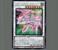 アクセルシンクロ・スターダスト・ドラゴン