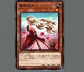 薔薇恋人