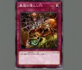 蟲惑の落とし穴