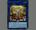 セラの蟲惑魔