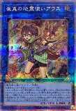 BF幻耀のスズリ/25thシークレット【モンスター】《QCCP-JP135》 QCCP