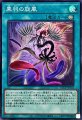 黒羽の旋風