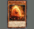 魔救の奇石レオナイト
