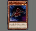 赤蟻アスカトル