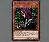 70726f647563742f736434362f5363