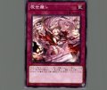 現世離レ