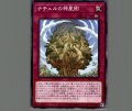 ナチュル神星樹
