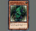 ナチュルナーブ